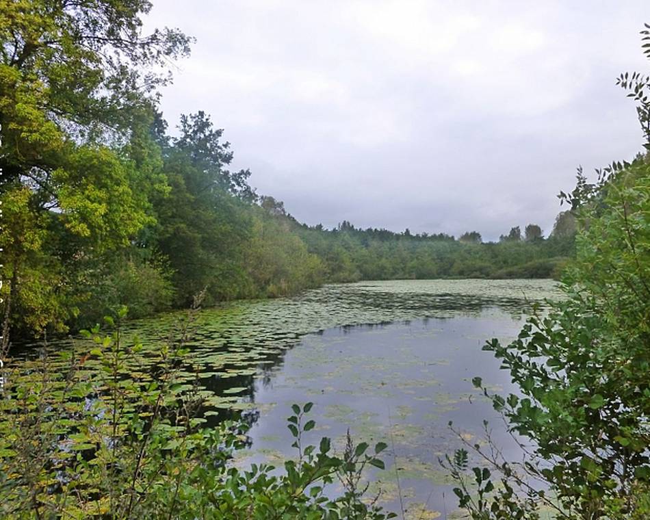 Hiking trail :  Le bois de l'âne