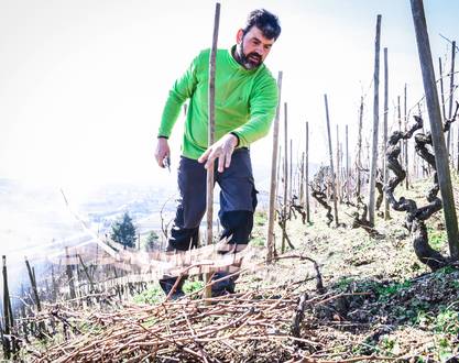 Weingut de la Ville Rouge