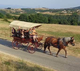 image-Balade en calèche à la ferme de la Bonnefontaine