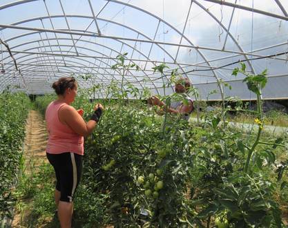 Ferme "Les Serres de Bargay"