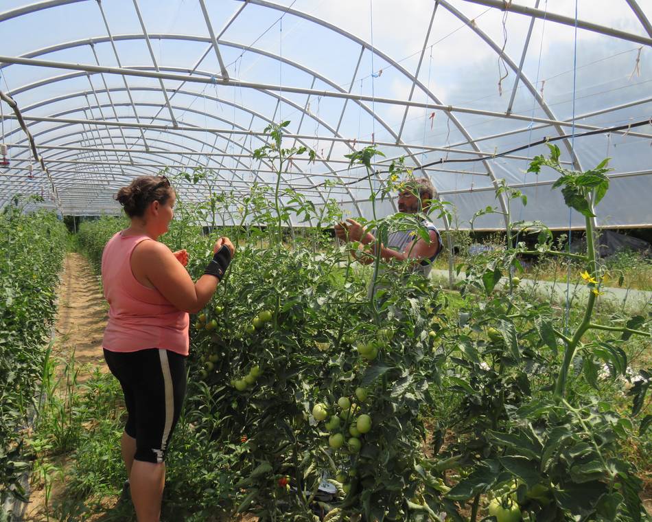 Ferme "Les Serres de Bargay"