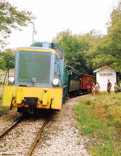 image-Fahrt mit dem Dampfzug zum Markt