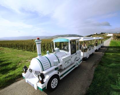 Road train in the Hermitage vineyards