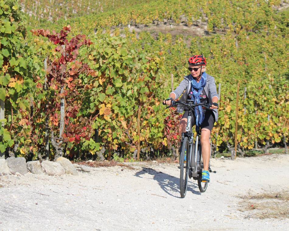 E bike tour - Zwischen Weinbergen und Obstgärten