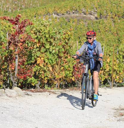 Elektrofahrrad Tour: Zwischen Weinbergen und Obstgärten