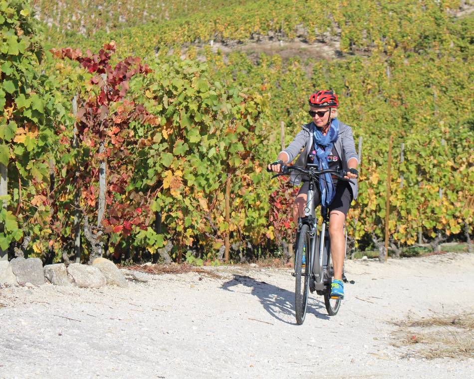 E.bike tour : Between vineyards and orchards