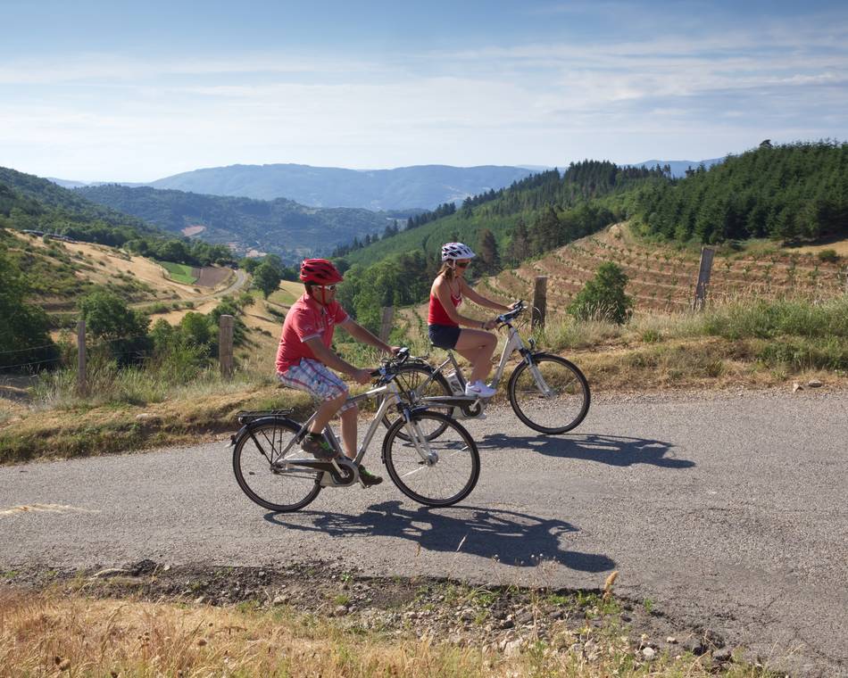 E bike Tour - Die Pässe-Route