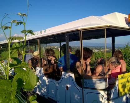 A Bon Train Bon Vin mit dem Petit train des vignes (Kleiner Zug durch die Weinberge)