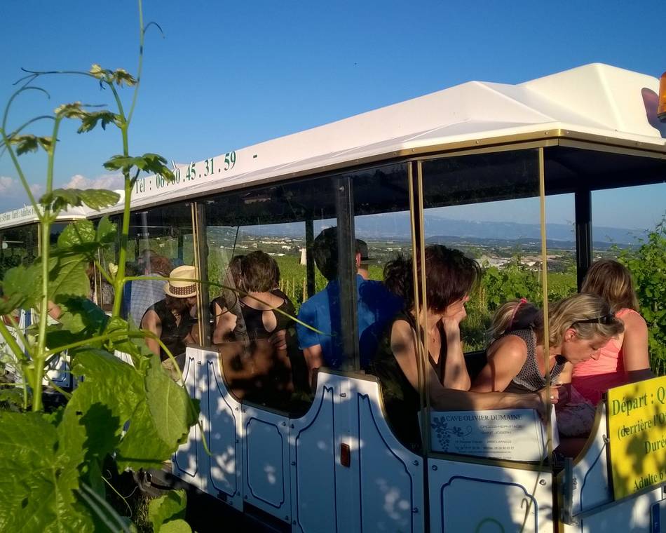 A Bon Train Bon Vin with the Petit train des vignes