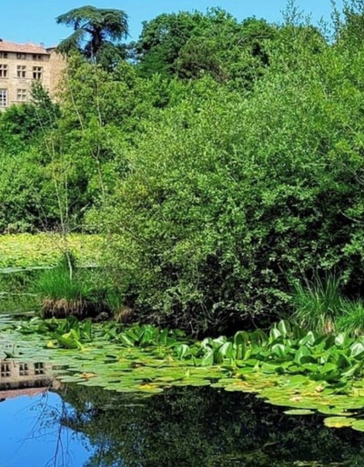 image-Der Marsch der Geschmäcker 5. Ausgabe - Chavannes